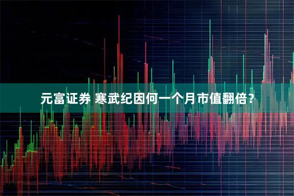 元富证券 寒武纪因何一个月市值翻倍？