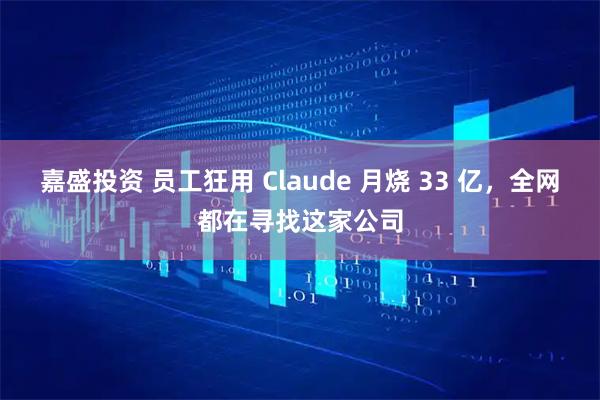 嘉盛投资 员工狂用 Claude 月烧 33 亿，全网都在寻找这家公司