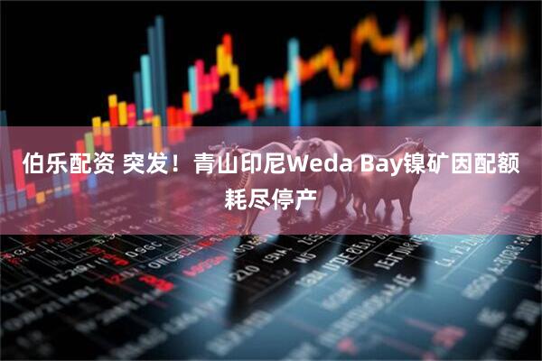 伯乐配资 突发！青山印尼Weda Bay镍矿因配额耗尽停产