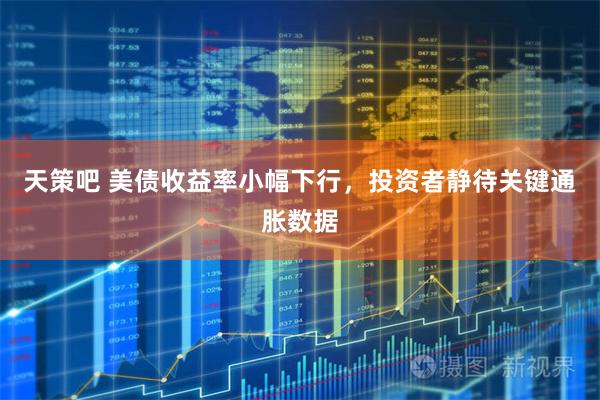 天策吧 美债收益率小幅下行，投资者静待关键通胀数据